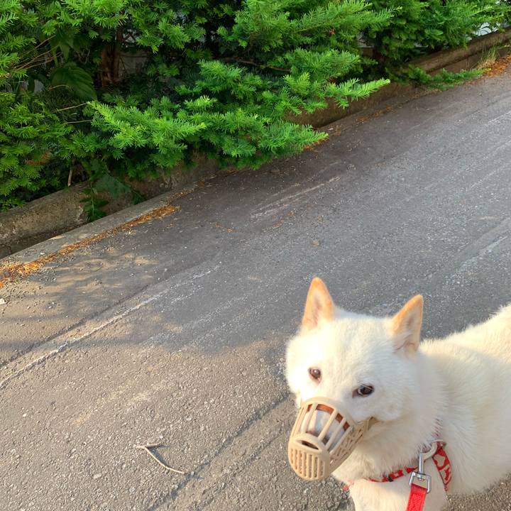 785e7b62 fe6a 4b0b 8893 70878f1a66d9 1560979902977