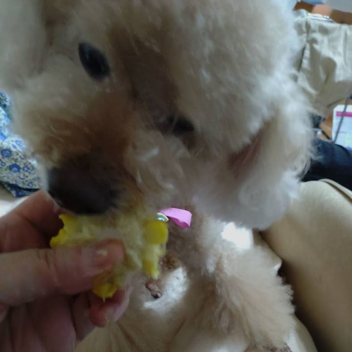 785e9226 53e8 4208 8985 0ee3629cfbac 1629027385232