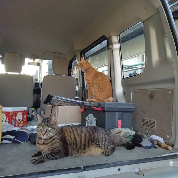 785eafc3 637a 4c0a abe0 3cfcb3c21477 1718878688025