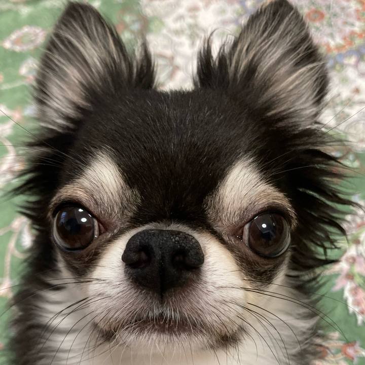 785ef2d3 a915 4f30 945d 389c3386cfef 1661639867832