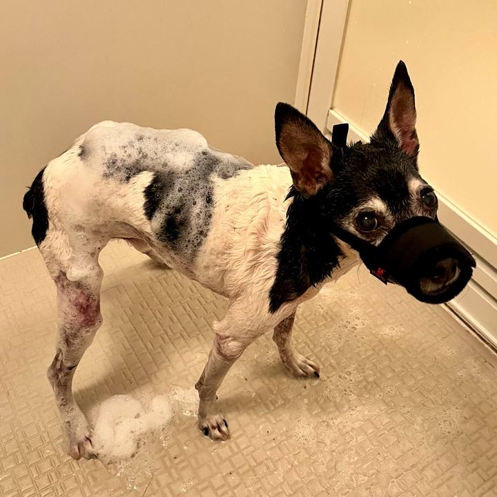 785efc88 6e7d 4c2b b68b 059fe7c9dcfa 1653705280636