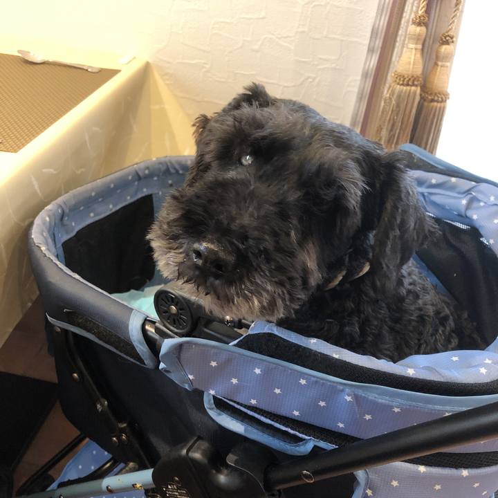 785f0748 421c 44de 8735 31c99de53794 1561108303928