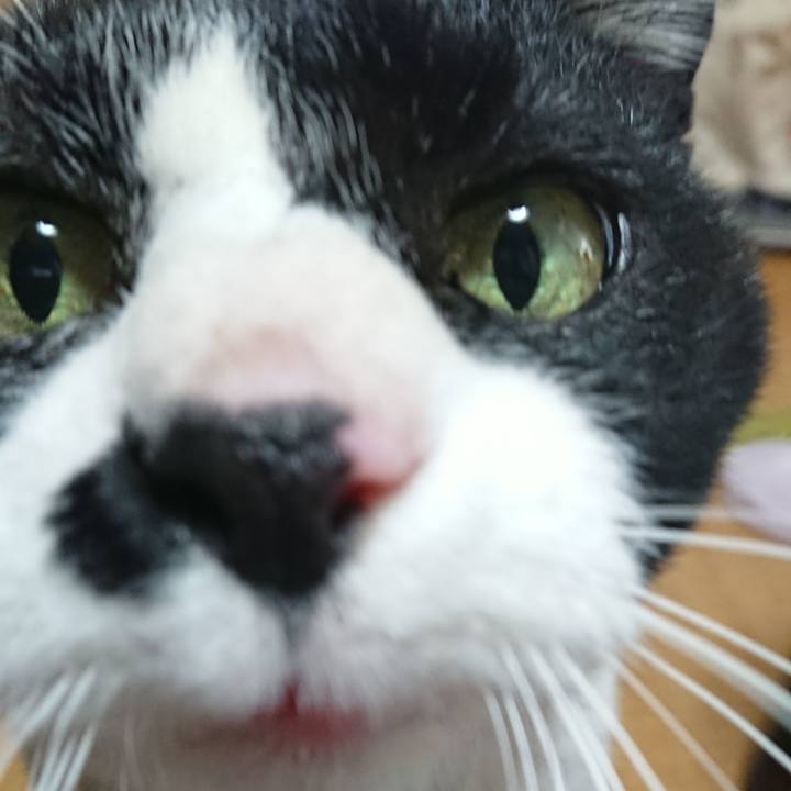 785f3f1a a56e 4207 a017 516872dca8c8 1550976749653