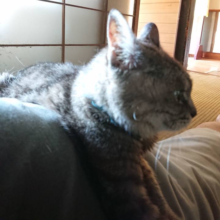 785f53bb 8163 415f a6fb 2124ca528b5e 1567921191861