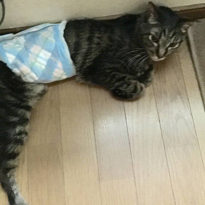 785f6084 4251 4c27 a25b 9babd744223a 1534924451098