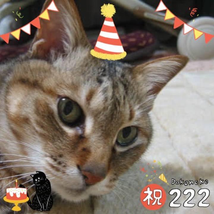 785f6eac 96ef 4267 b364 6ed0489a78bd 1645540509331