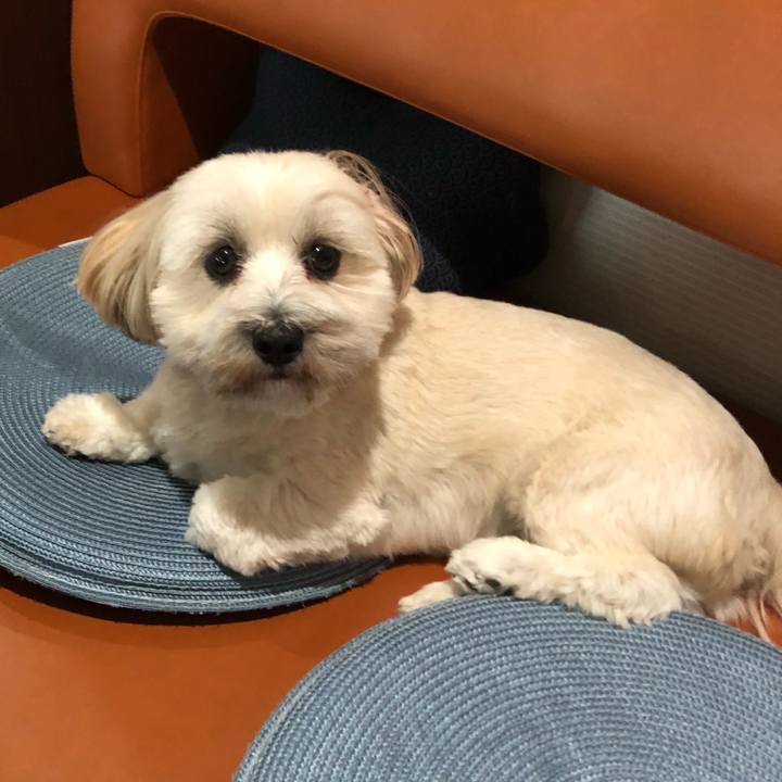 785f8114 4bd2 4185 bb7e 379446729939 1509251256903