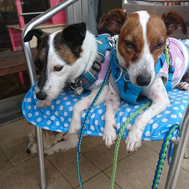 785f974d 0cc3 4798 b0d6 98a4028a5b8d 1593498572773