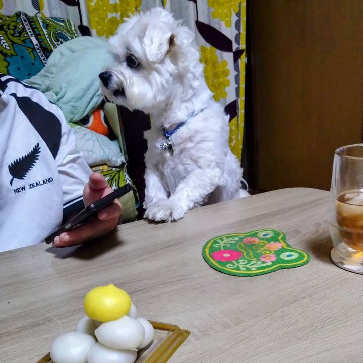 785f9dcb 6c6e 4a71 8331 7d8c59a874ee 1695996561457