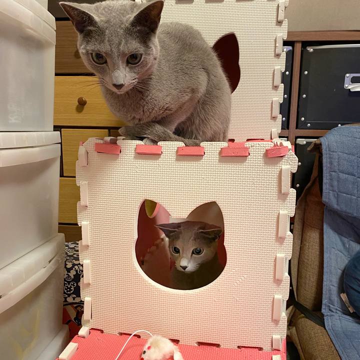 785fb064 e575 43fb b68a 2d40407bfe2a 1643505373003