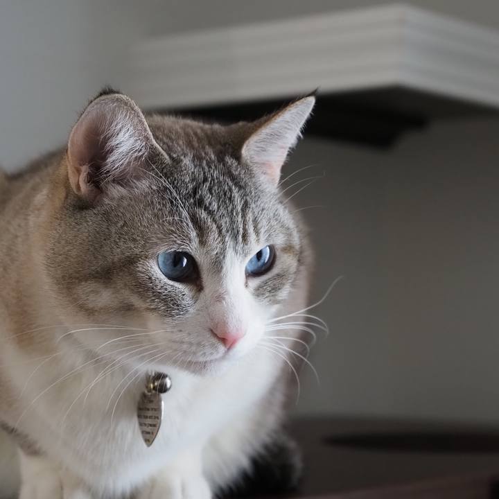 785fbf3a e952 4487 bb54 49e540a6a613 1646064391991