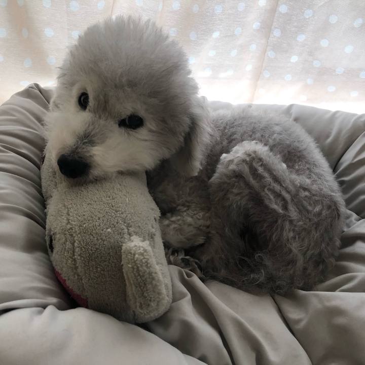 785fc947 5fc5 4841 81f9 3ccdd6c3c093 1622608911204