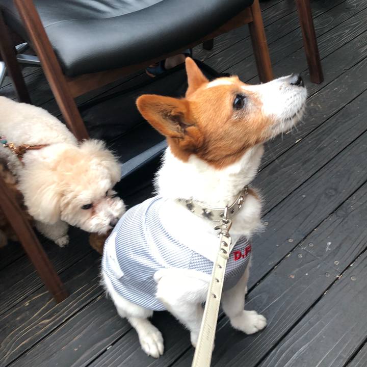 785fcfd8 816a 4ea8 8659 c205c1aa0b1a 1525131705342