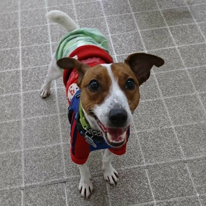 785ff30b dce4 40a4 8b28 60f374db6ce8 1552726913321