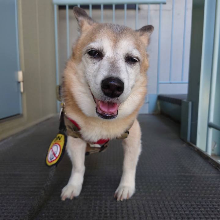 786025ee 2fd1 4bd3 84ab 5478ce1e6951 1713494468508