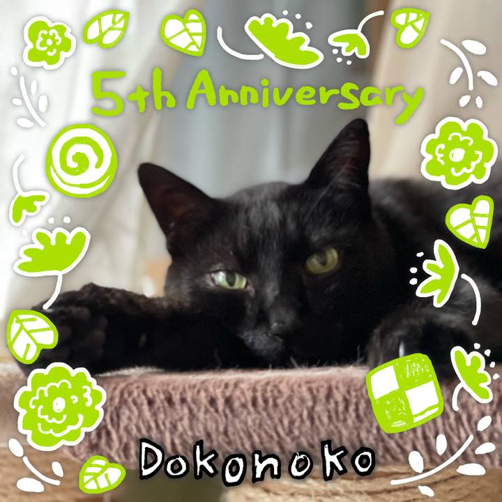 786028c4 0e38 4d10 8c6e 4b1687c0e785 1622857463298