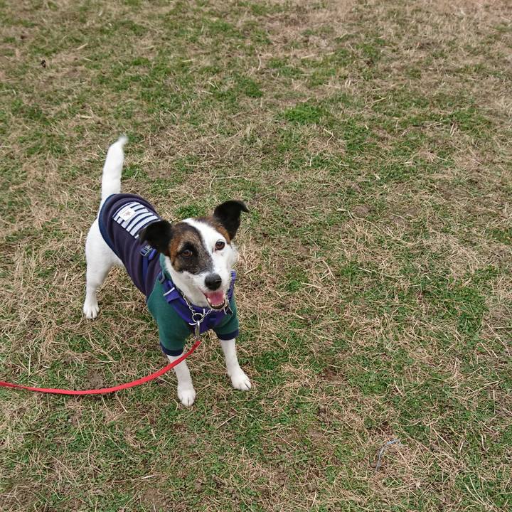 78602df1 f427 4642 bdb3 087edd0ed643 1615119419145