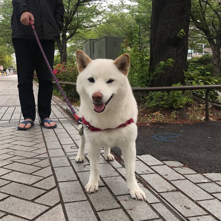 786043eb 26fb 409f 95c8 d644c81e52cf 1523672700706