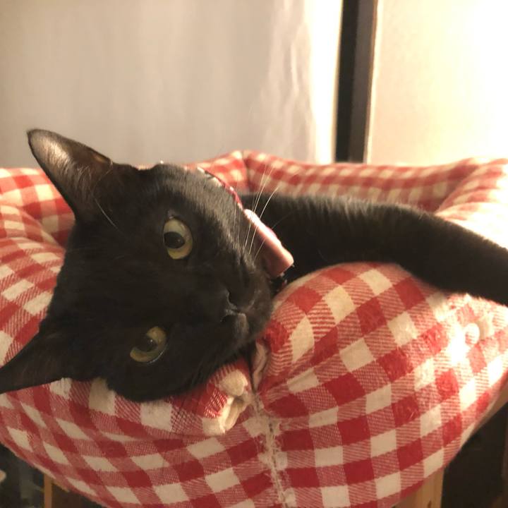 78607553 1c6d 464a 8208 cb1985c66509 1570364017004