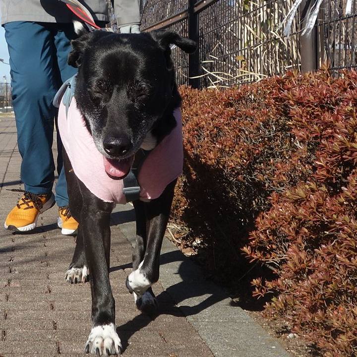 786081cd 3cac 4ac3 ae69 0572bf6112cf 1710033691190