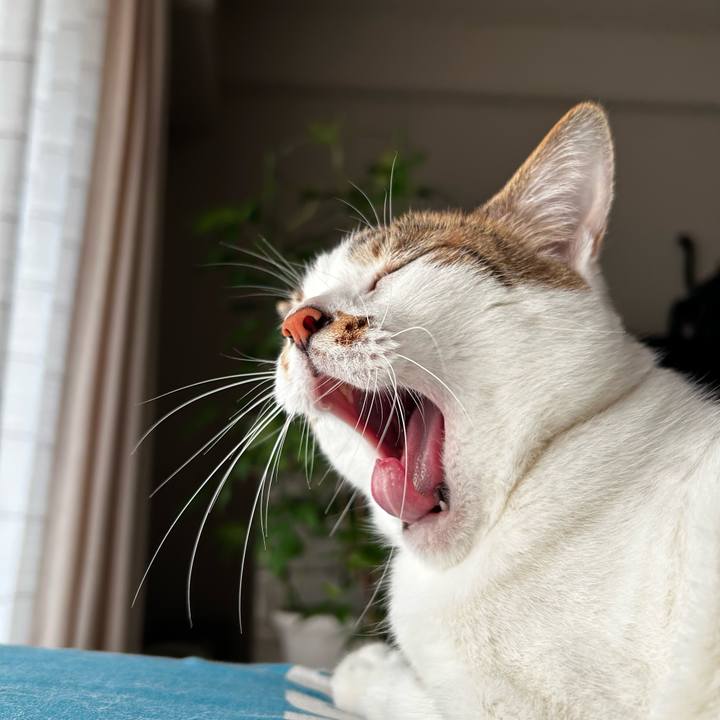 7860ab65 7a97 45d6 9db5 4bb2f2b4fc44 1755503137794