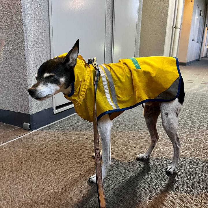 78612765 b1da 48b6 a1d8 ff8fd6a3b356 1635111716165