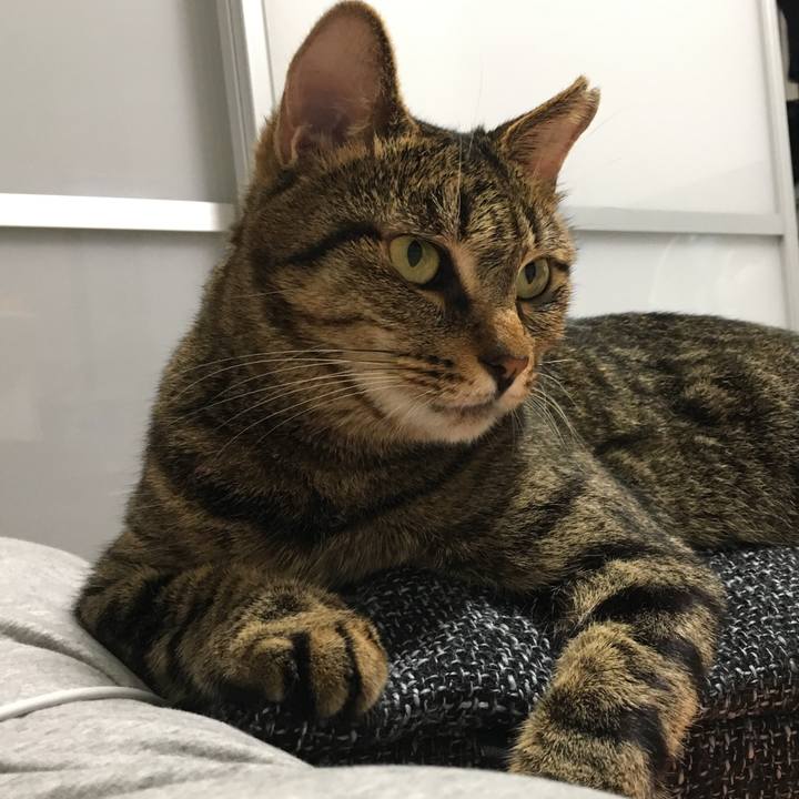 78613800 0ade 41bd 98df 6462a12f120f 1566558046522