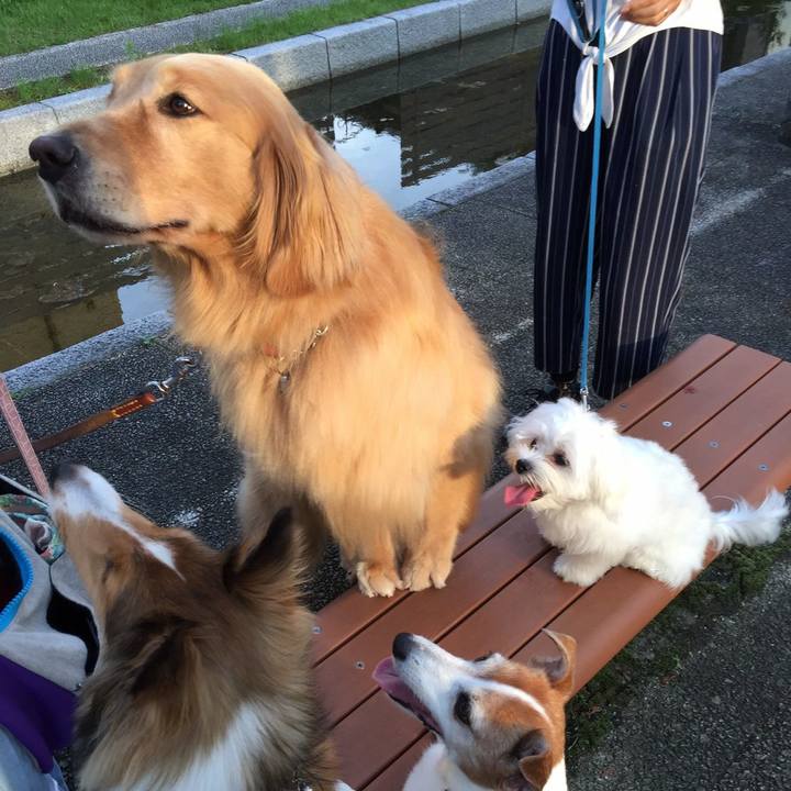 78614707 8e8d 4845 af55 34aa8734c965 1564502537710