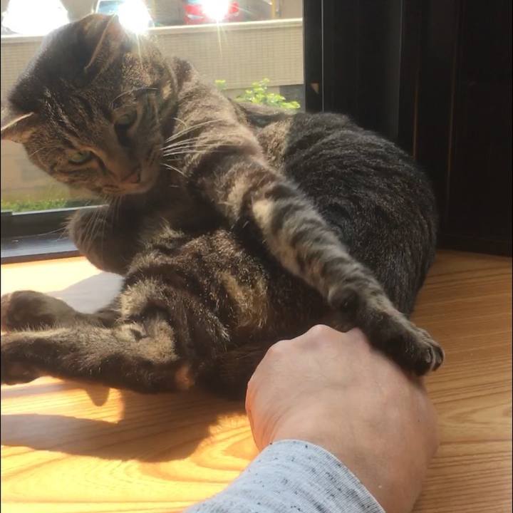 78616c63 de8d 47f9 93d8 2efc0ab50591 1588050124374