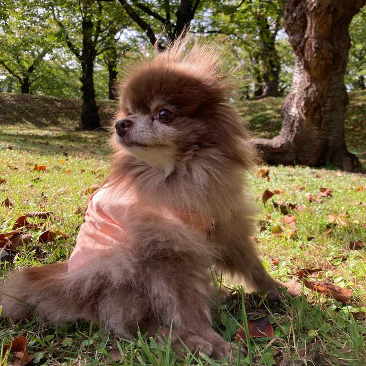 78618de7 f815 40f3 bcfe 1863eb287ce1 1697673291808