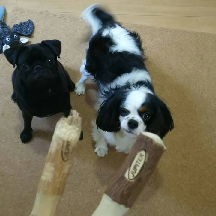 7861a1a7 db7b 4cca 877c fa503c7526fe 1533964066538