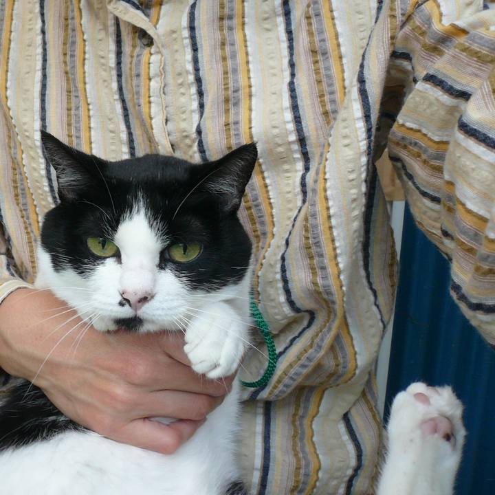 78622e78 226b 4171 8a8c 87015734dc73 1612400520029