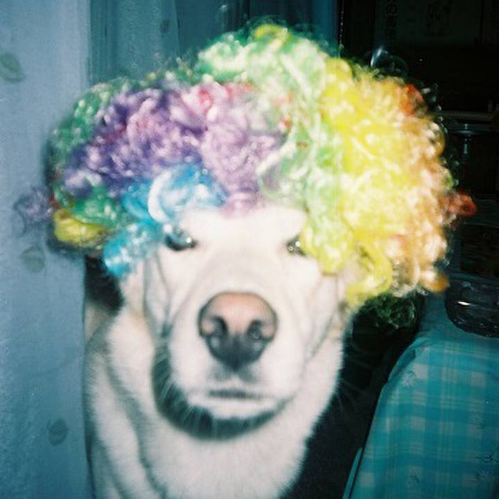 786240bf b200 4e07 a3b3 08a58026a2ba 1518869413572