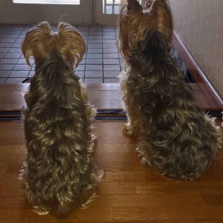 78626e4a f6d3 420c a510 a604b0a1034b 1524037314205