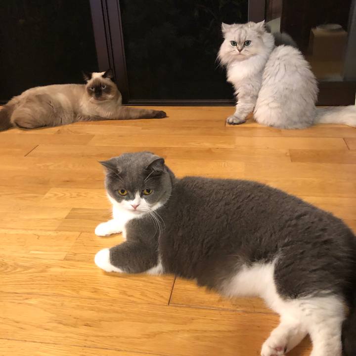 786277b8 fb54 46d5 ae01 df268ac6bda1 1600165549573