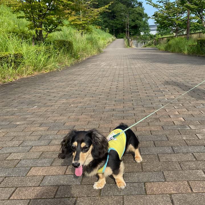 7862ce63 e09d 4b33 a7c2 fd05584b3372 1687307347143