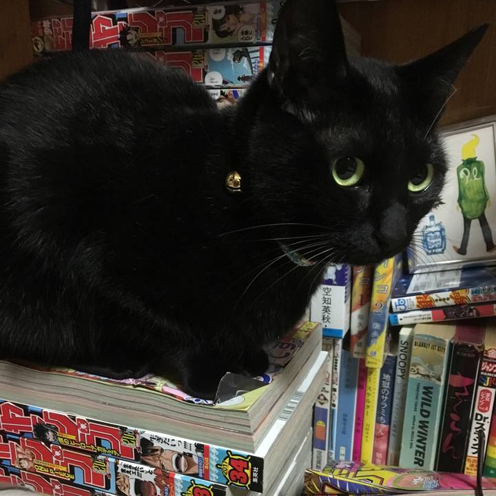 7862df3d b0d4 4de4 b9a9 8c0cc8da2938 1509278037633