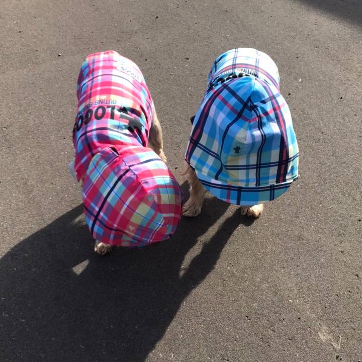 7862e6e7 6aa3 4303 93fb 477d589df725 1605607771939