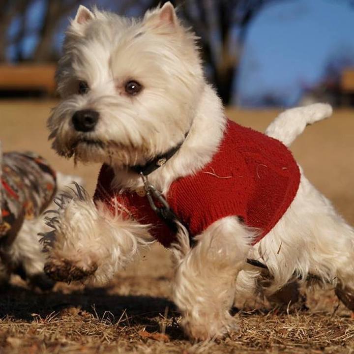 78631878 ea11 422c aa24 44e463465194 1518011369320