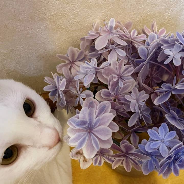 78631ad8 07df 436a 80c9 6363929c1d42 1656218198508