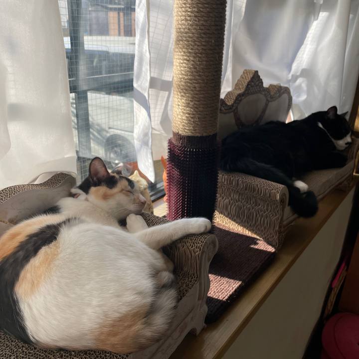 78633c2c 21b1 4bc6 91c0 e06c23d90b9b 1676934548857