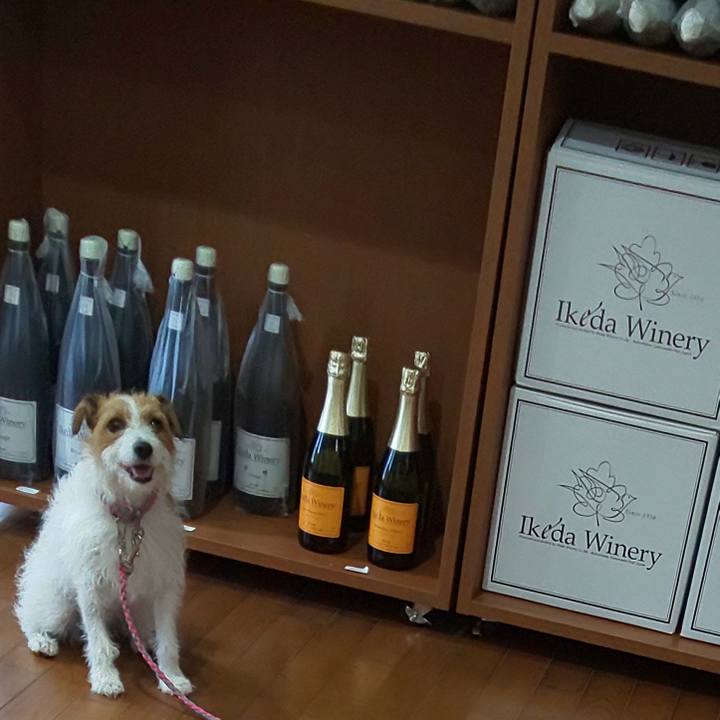 78633c2d 1463 4dc0 97df 8605c8ea9ec7 1595754191310