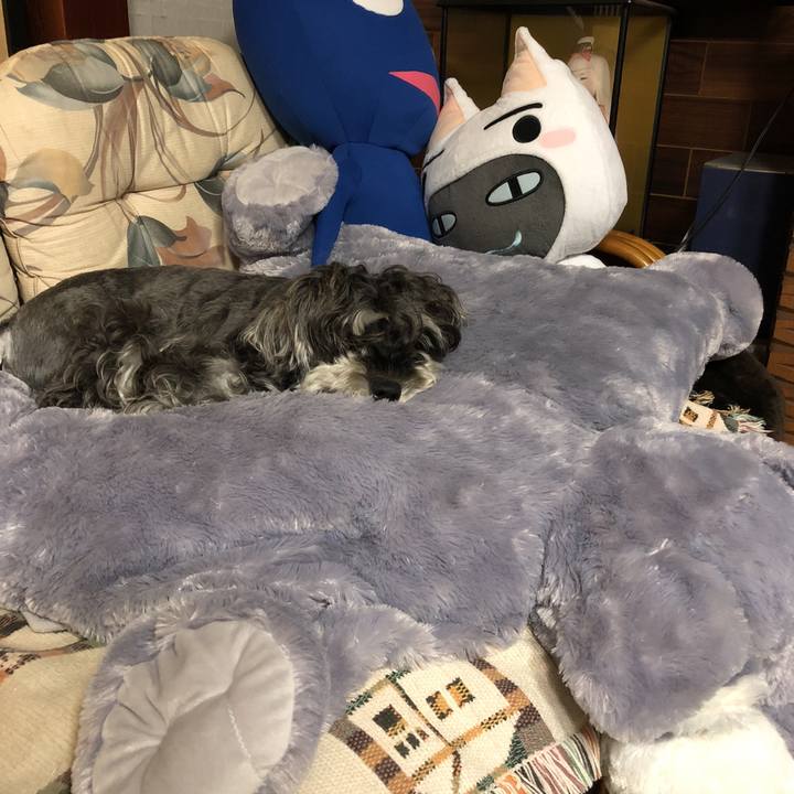 78634451 6854 4de3 8249 ffcfdaaf7b53 1537962588614