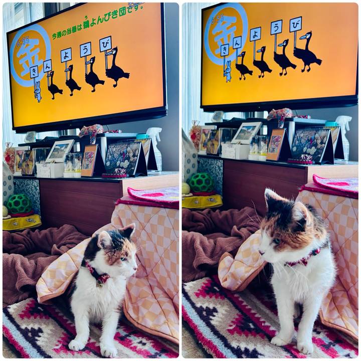 78634cac 47d0 4214 accc 25bf7627e154 1741300211725