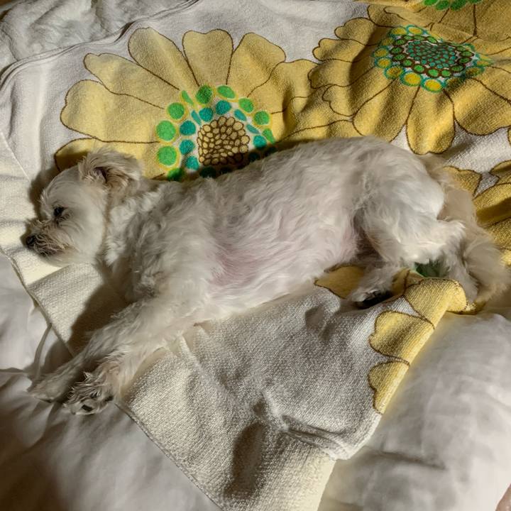 78638a44 f623 4312 a571 0349bf64b768 1590318412863