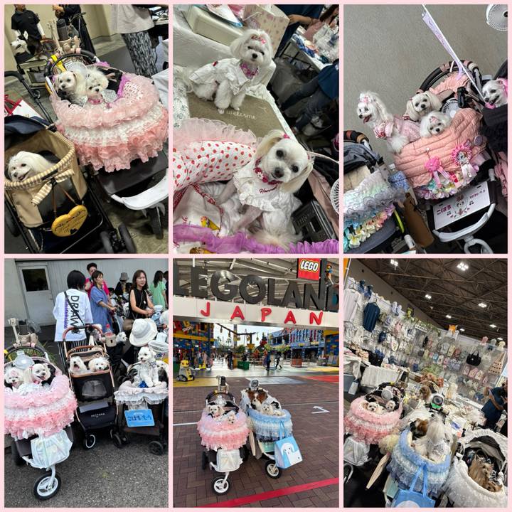 7863d0e6 b317 4860 9ae9 ab1572c0855f 1752928746557