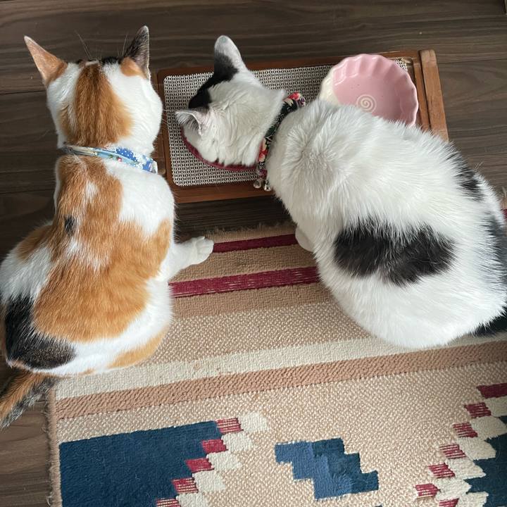 786422e2 17ab 4059 9246 7f1f969e2fcf 1722900858397