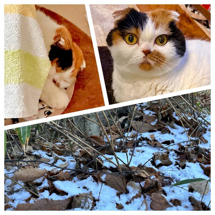 78644173 976c 4a29 a45b dd74d7a58c64 1699694387223