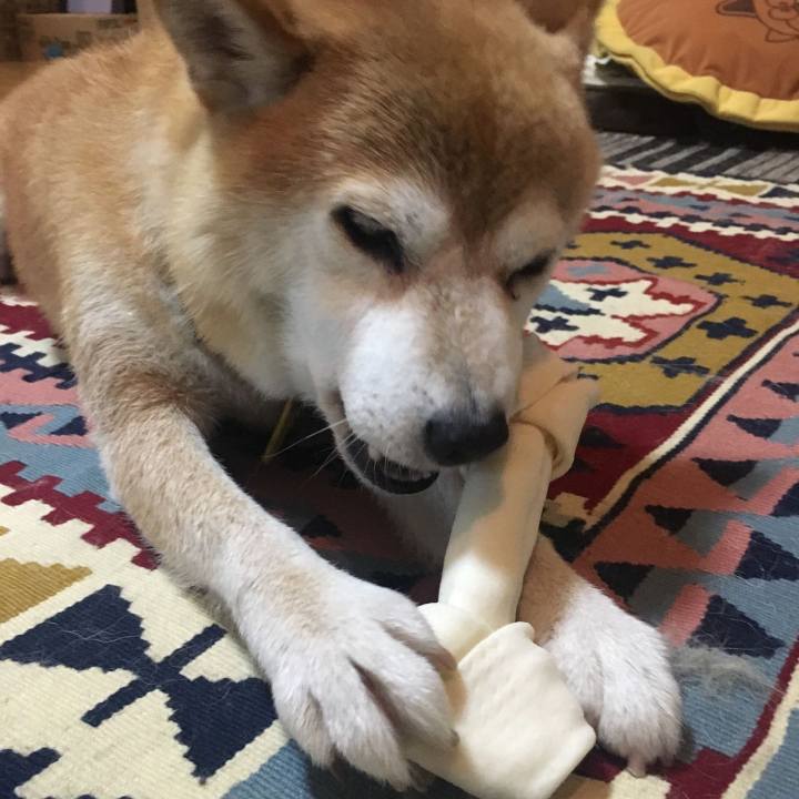 7864af32 d7c9 4e1e 869c 440866543ab2 1563093163489