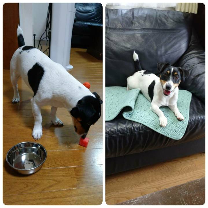 7864b8a5 9769 45a4 8b40 42d26b8558f0 1563765156425